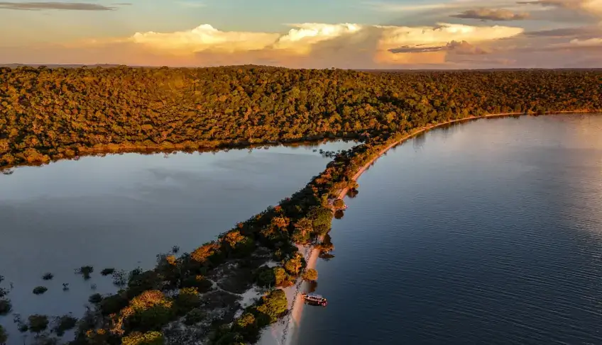 Bioeconomia transforma floresta em renda e impulsiona nova economia no Baixo Amazonas
