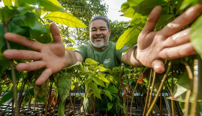 De área degradada a referência na Amazônia: viveiro deve atingir 250 mil mudas em 2026