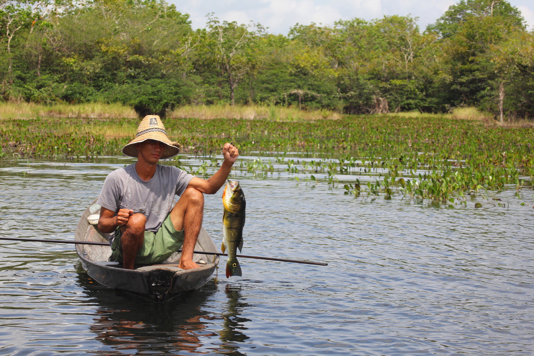 Proposta vincula seguro-defeso ao período real de proibição da pesca