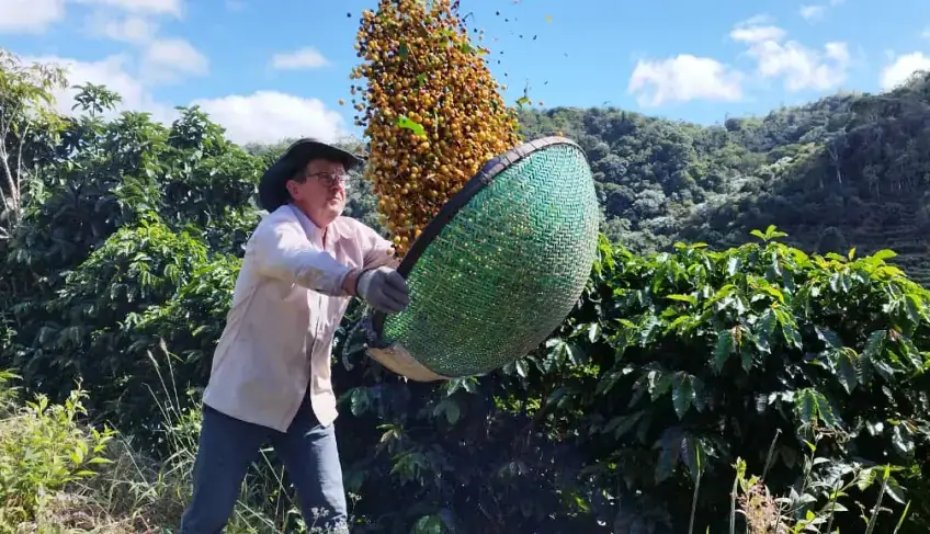 Plataforma de rastreabilidade das IGs brasileiras de café supera 1 milhão de pacotes monitorados