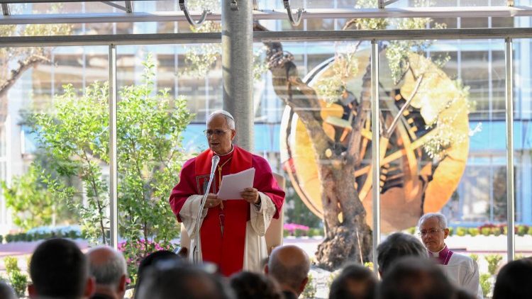Papa entregará em outubro a primeira “Medalha Leão XIV para a Sustentabilidade”